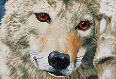 Diamond painting kit Wolf